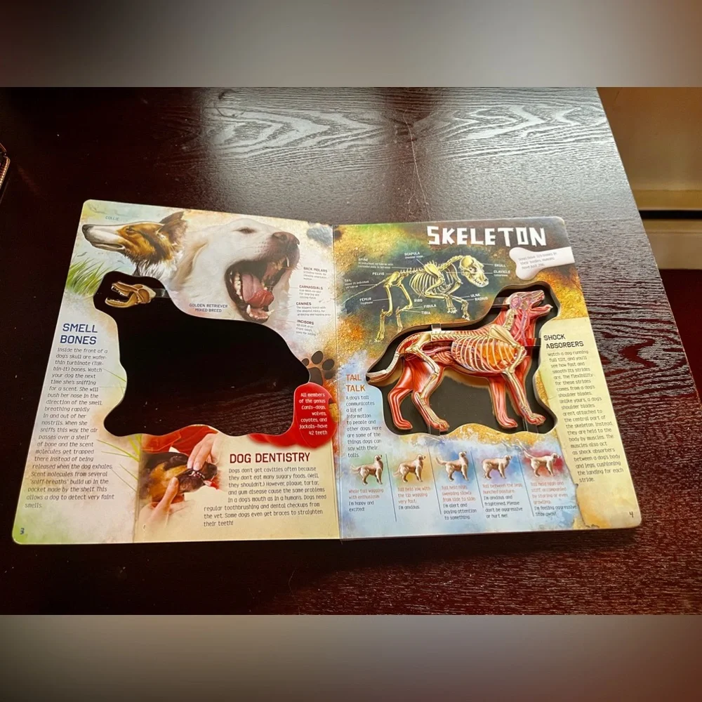 Scholastic books are